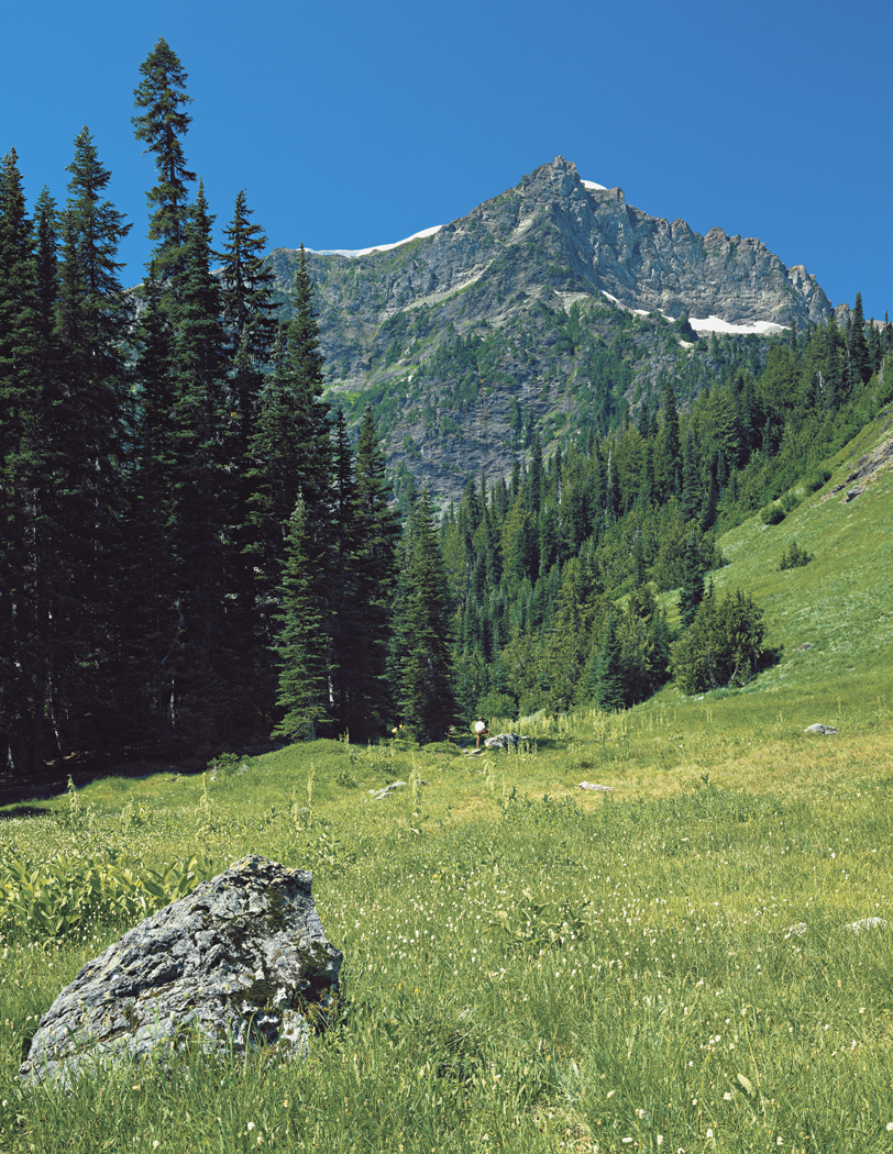 Ross Hamilton DCC Sequim Dose Mdws 81.8 SP