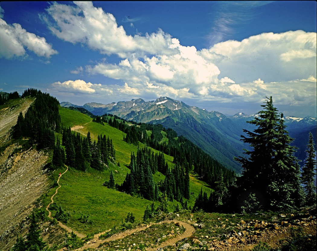 Ross Hamilton DCC Sequim High Divide