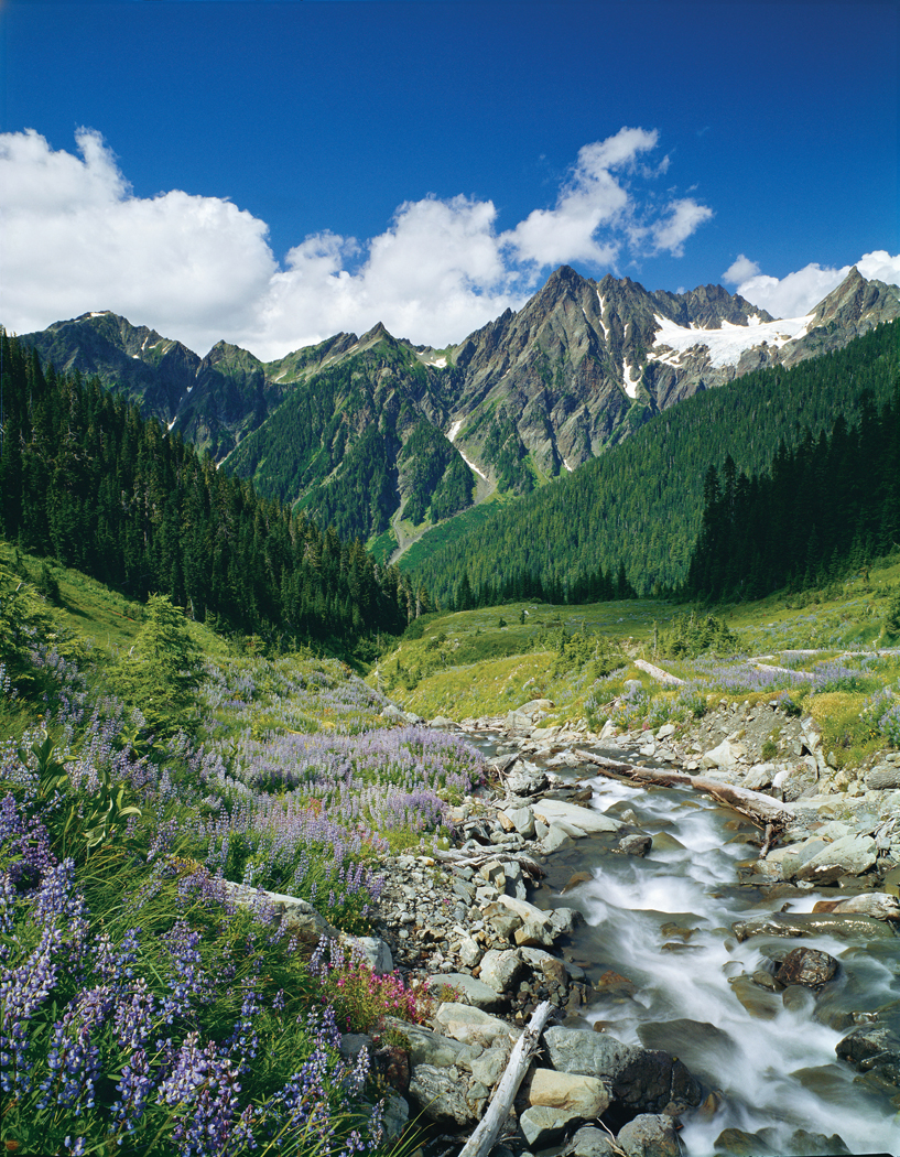 Ross Hamilton DCC Sequim Mt. Anderson